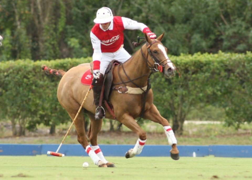 sugar uskine ronallen