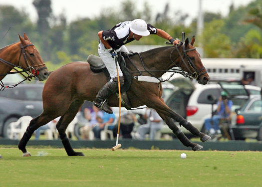 photosalexpacheco polo magazine uspapiagetgoldcupsemifinalszacaravs lechu 2
