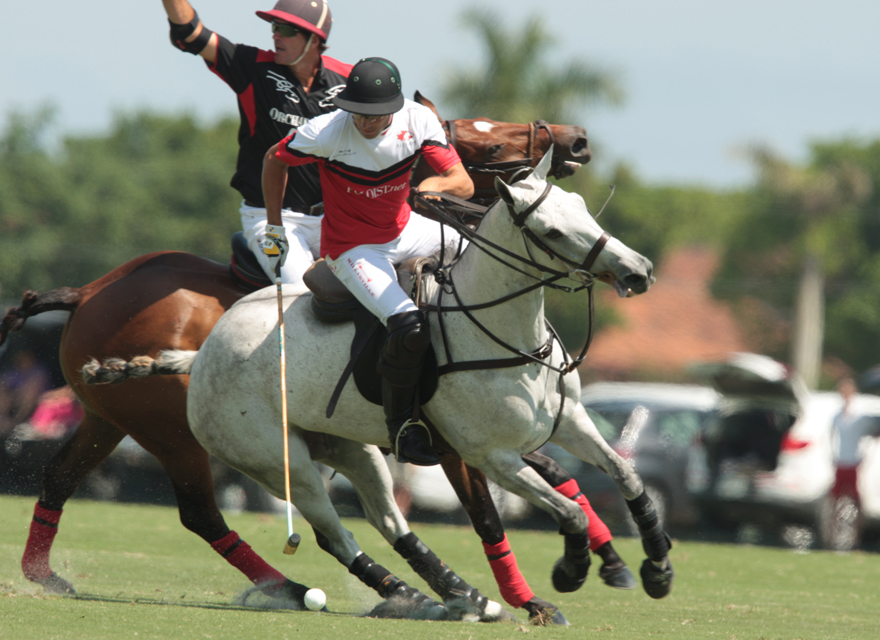 photos-alegria-11-orchard-hill-10 2 polomagazine.jpg