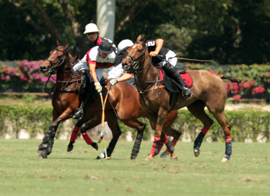 photos-alegria-11-orchard-hill-10 4 polomagazine.jpg