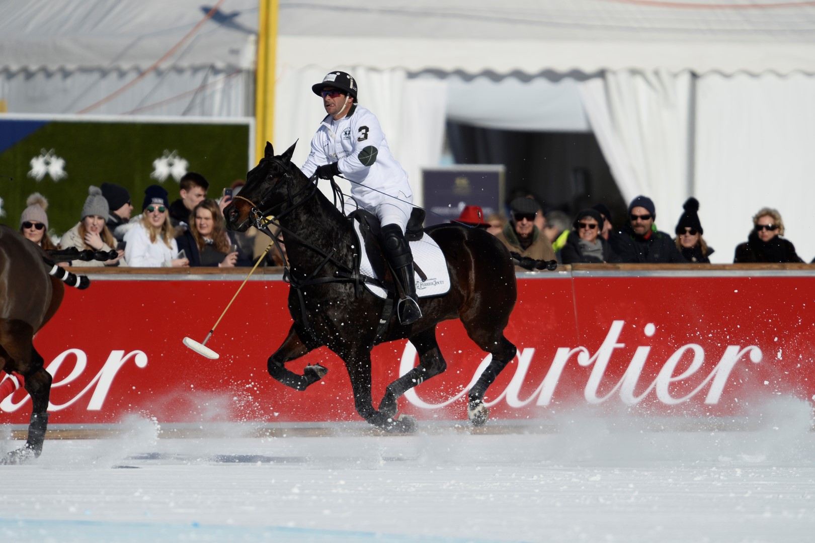 27 01 17-0188 31744049203 o