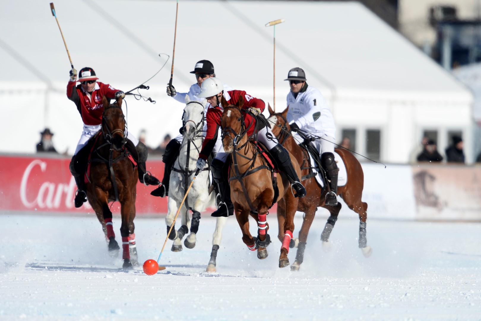 27 01 17-0235 32554985335 o