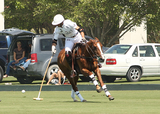 polo magazine alex pacheco us open polo championshiops ipc florida polo 5