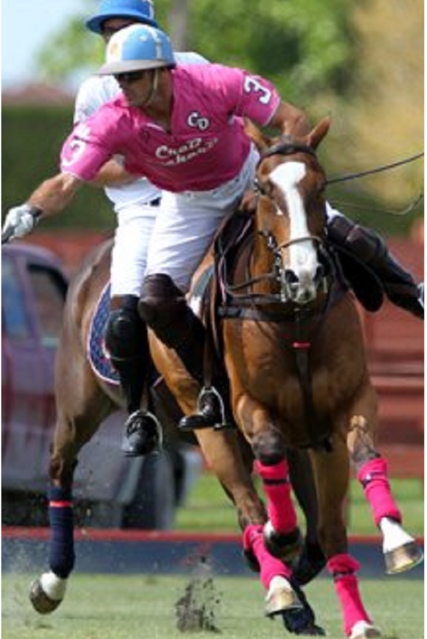 wellingtonpolocom