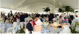 windsorcharitypolocup7