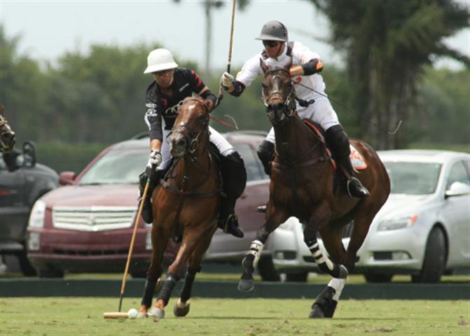 polo magazine polophotos alex pacheco us open florida ipc polo club erg polo team audi polo team 1